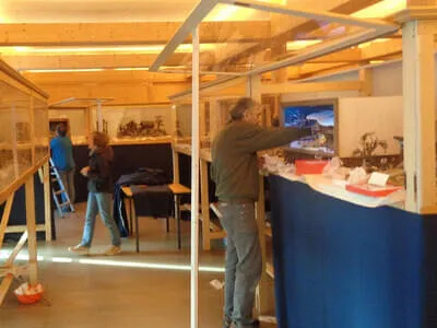 Ausstellung 2025 Bild 67